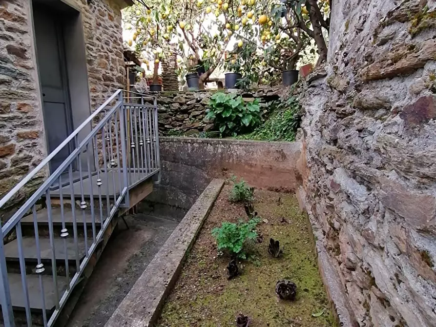 Immagine 26 di Porzione di casa in vendita  a Massa