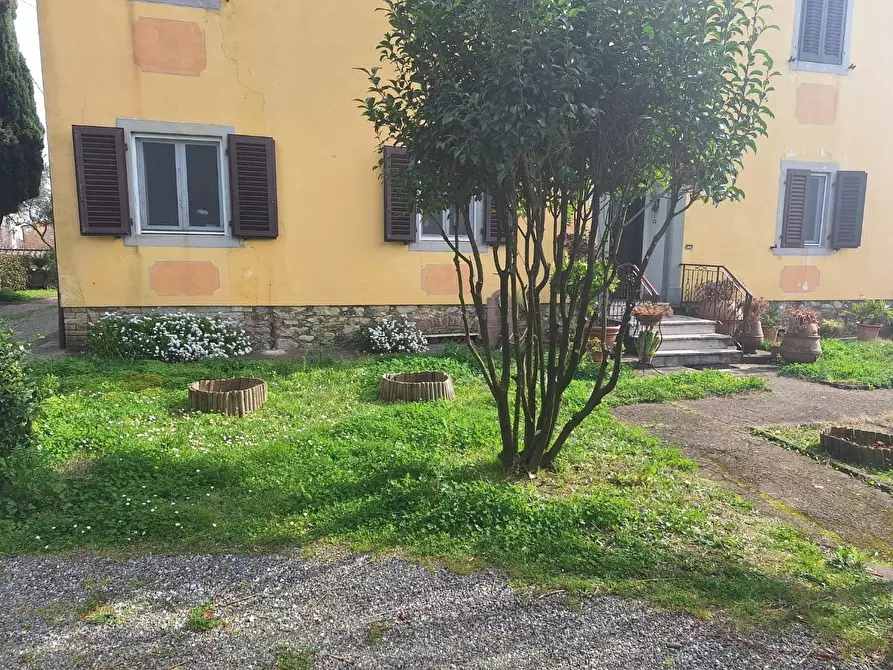 Immagine 17 di Appartamento in vendita  a Capannori