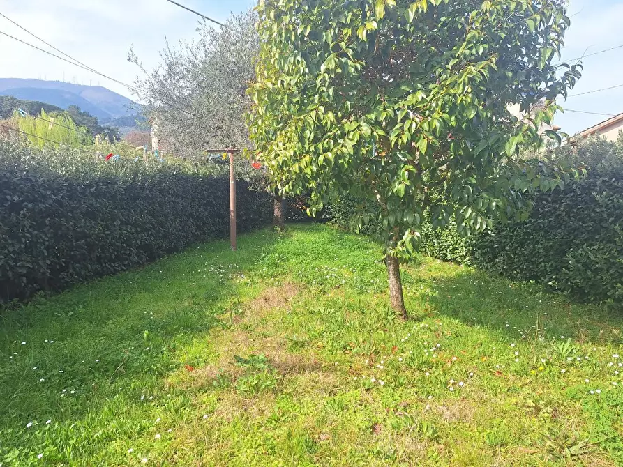 Immagine 16 di Appartamento in vendita  a Capannori