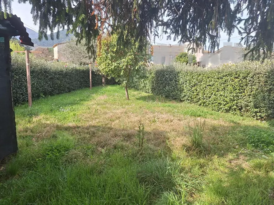 Immagine 14 di Appartamento in vendita  a Capannori