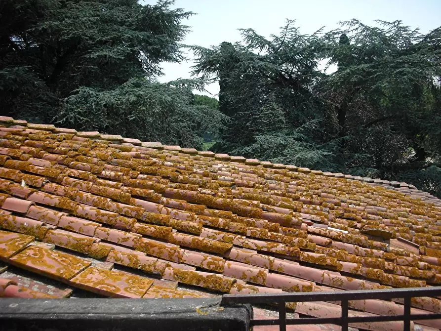 Immagine 20 di Villa in vendita  a Fucecchio