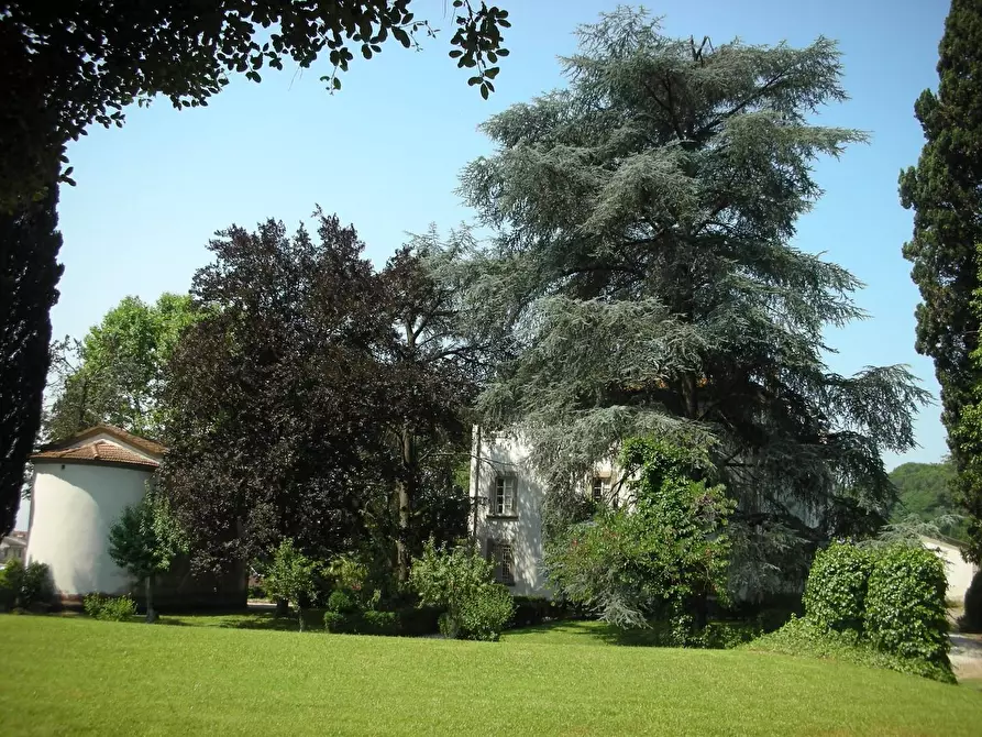 Immagine 19 di Villa in vendita  a Fucecchio