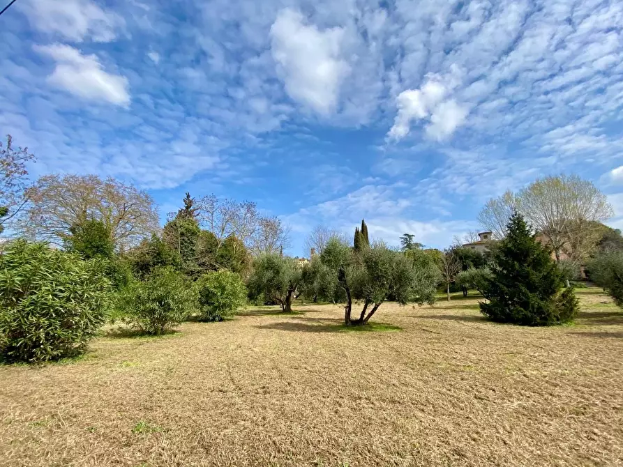 Immagine 47 di Villa in vendita  a Crespina Lorenzana