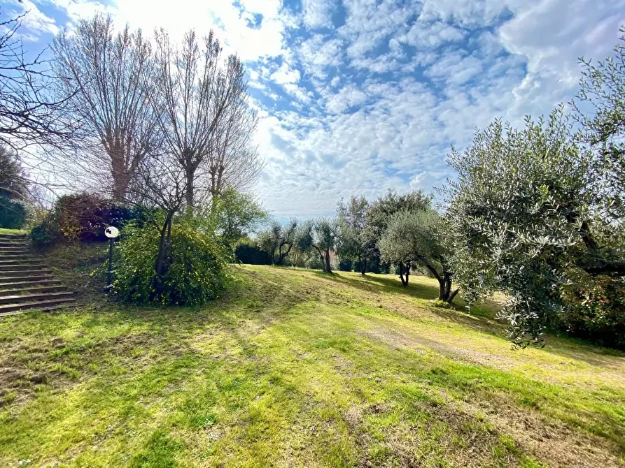 Immagine 45 di Villa in vendita  a Crespina Lorenzana