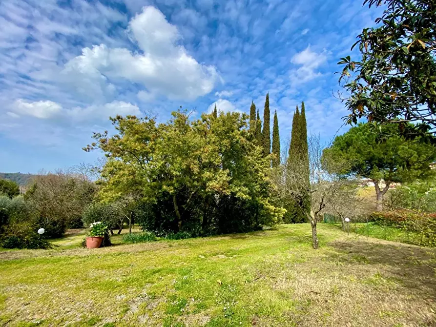Immagine 40 di Villa in vendita  a Crespina Lorenzana