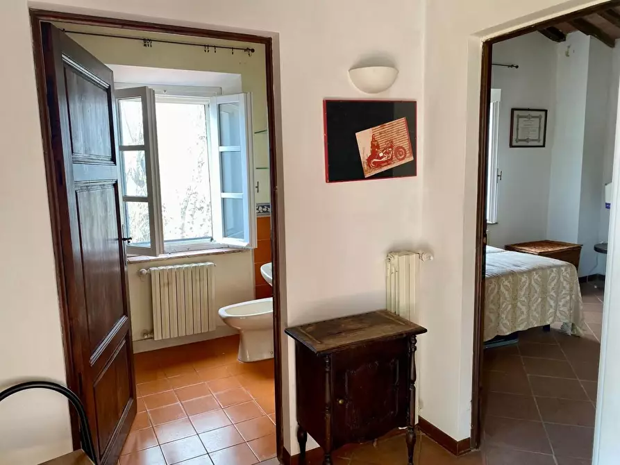 Immagine 35 di Villa in vendita  a Crespina Lorenzana