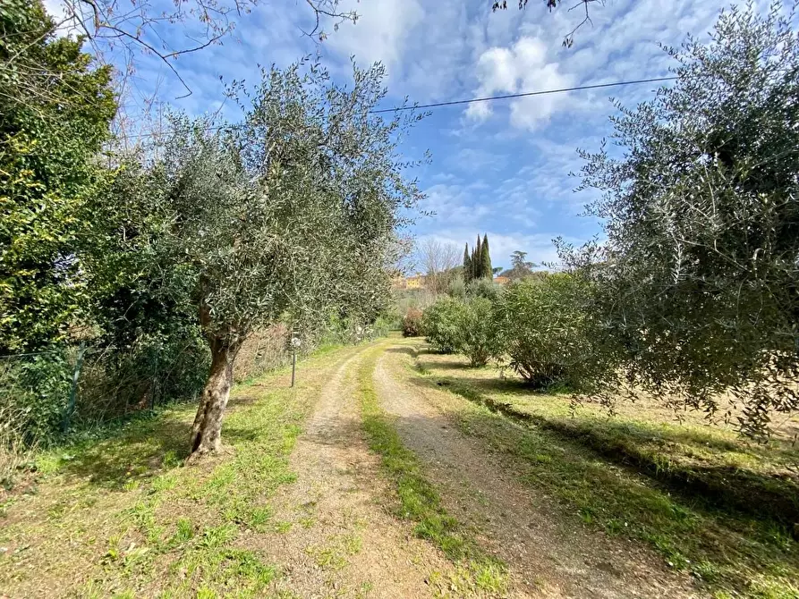 Immagine 48 di Villa in vendita  a Crespina Lorenzana