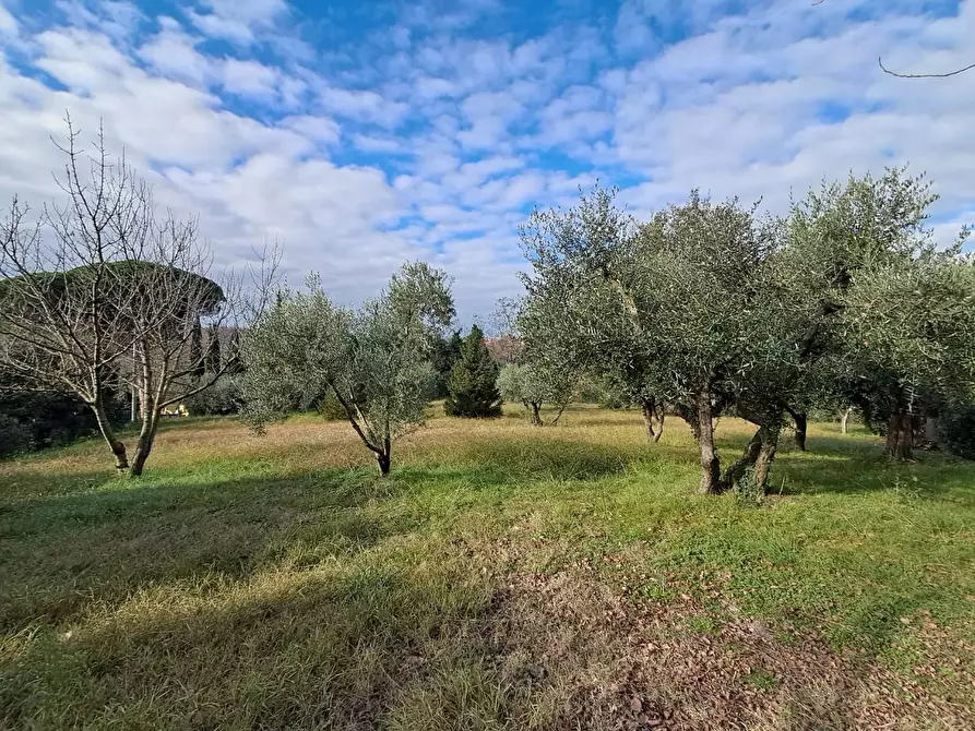 Immagine 74 di Villa in vendita  a Crespina Lorenzana