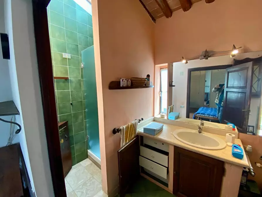 Immagine 30 di Villa in vendita  a Crespina Lorenzana