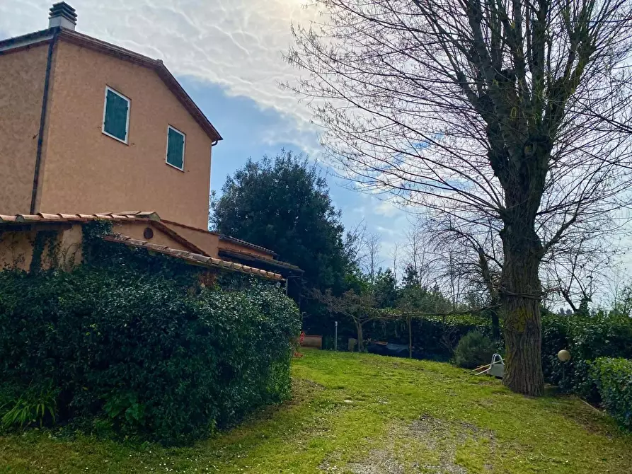 Immagine 14 di Villa in vendita  a Crespina Lorenzana