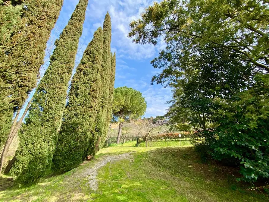 Immagine 44 di Villa in vendita  a Crespina Lorenzana