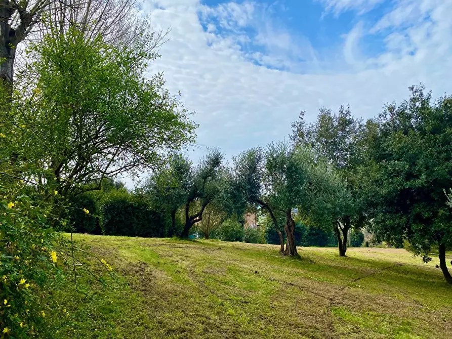 Immagine 6 di Villa in vendita  a Crespina Lorenzana