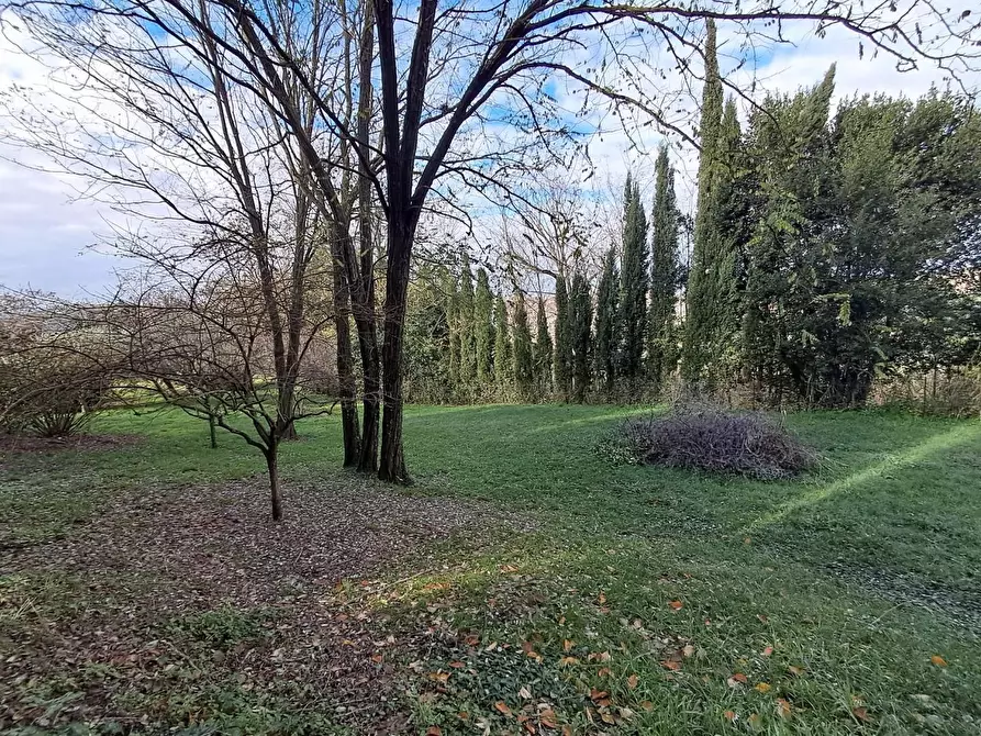 Immagine 72 di Villa in vendita  a Crespina Lorenzana