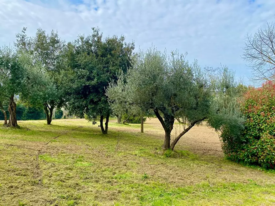 Immagine 5 di Villa in vendita  a Crespina Lorenzana