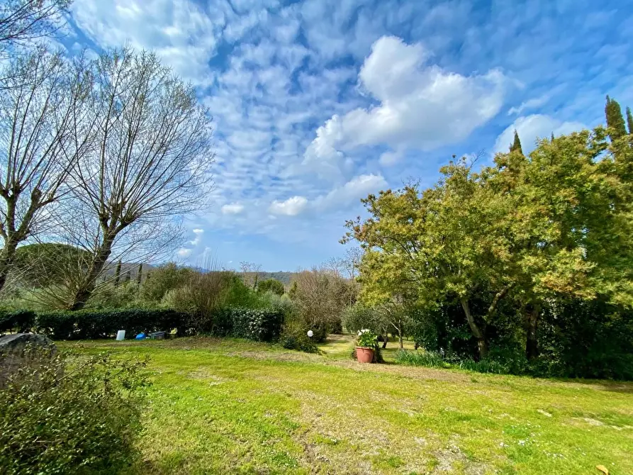 Immagine 41 di Villa in vendita  a Crespina Lorenzana