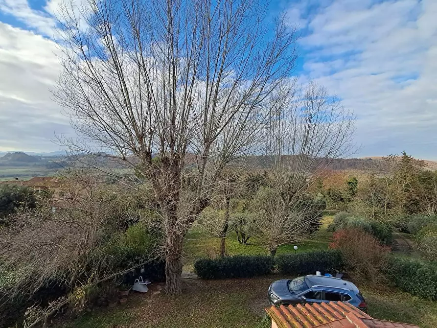 Immagine 65 di Villa in vendita  a Crespina Lorenzana