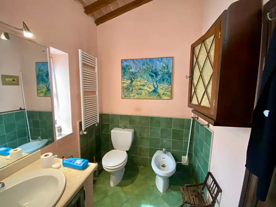 Immagine 31 di Villa in vendita  a Crespina Lorenzana