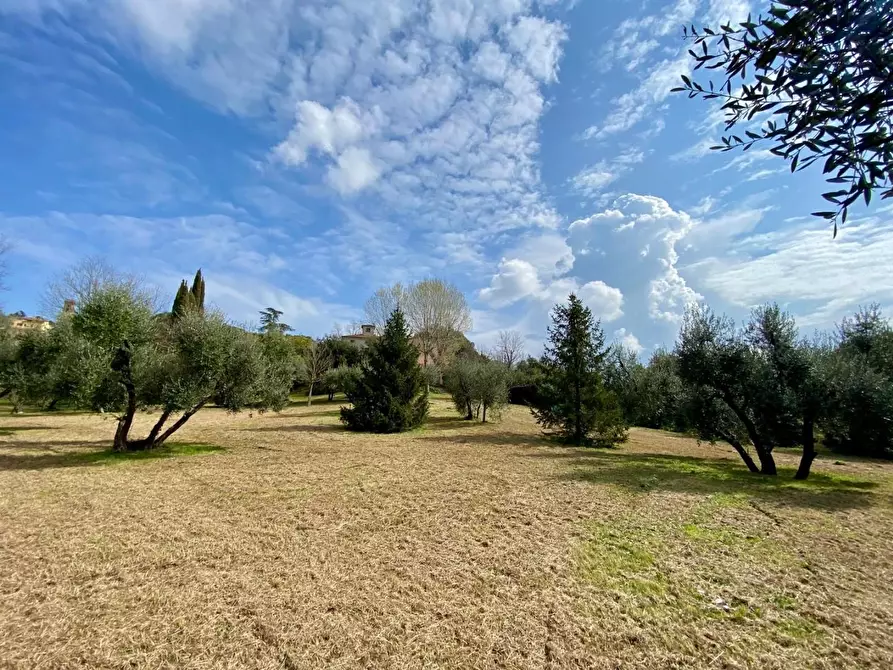 Immagine 46 di Villa in vendita  a Crespina Lorenzana