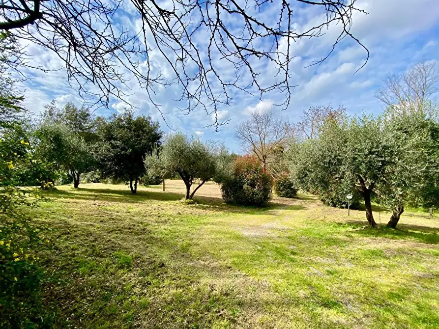 Immagine 43 di Villa in vendita  a Crespina Lorenzana