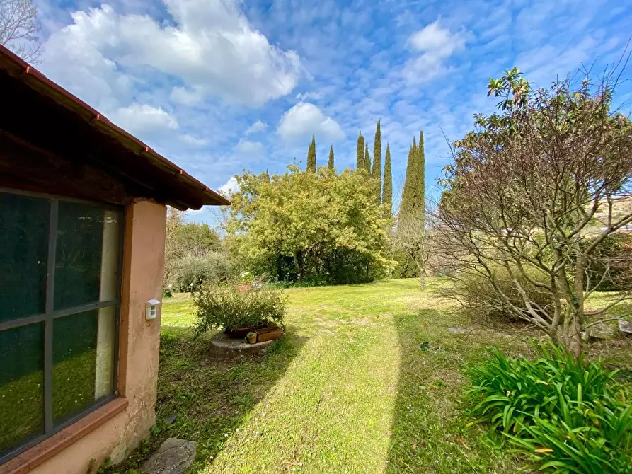 Immagine 49 di Villa in vendita  a Crespina Lorenzana