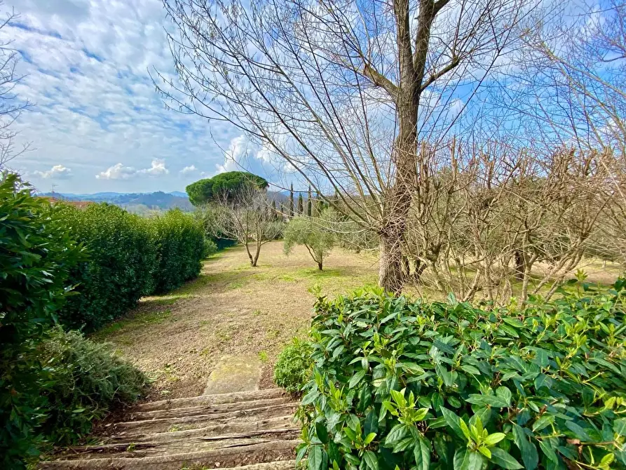 Immagine 28 di Villa in vendita  a Crespina Lorenzana