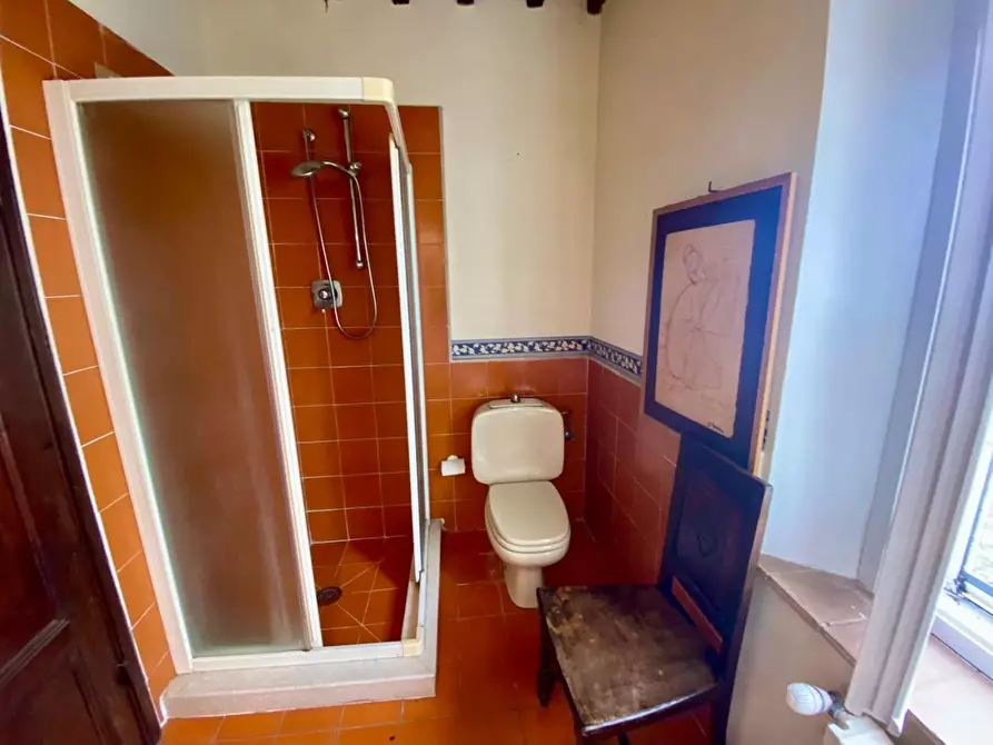 Immagine 38 di Villa in vendita  a Crespina Lorenzana