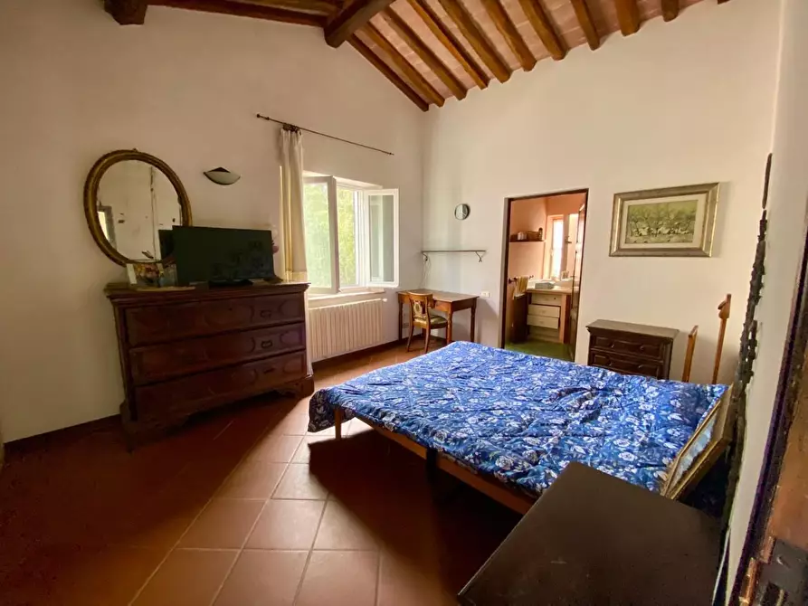 Immagine 13 di Villa in vendita  a Crespina Lorenzana