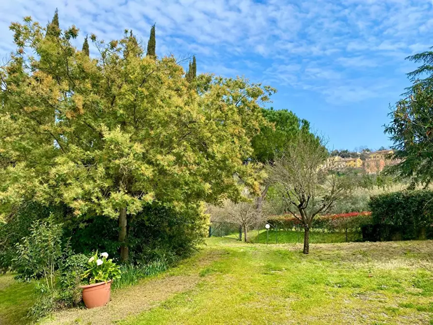 Immagine 9 di Villa in vendita  a Crespina Lorenzana
