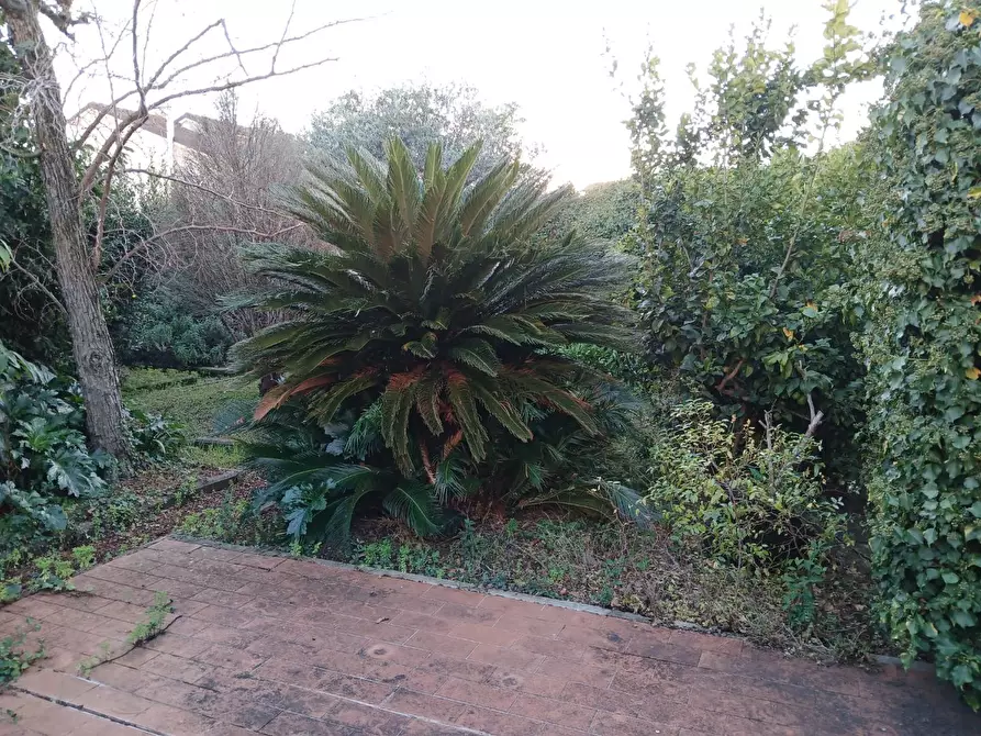 Immagine 20 di Villa in vendita  a San Giuliano Terme