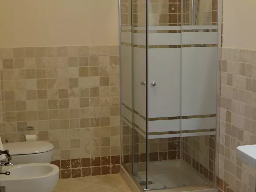 Immagine 9 di Appartamento in affitto  a Santa Croce Sull'arno