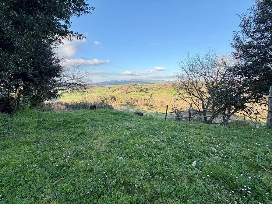 Immagine 41 di Casa colonica in vendita  a Volterra