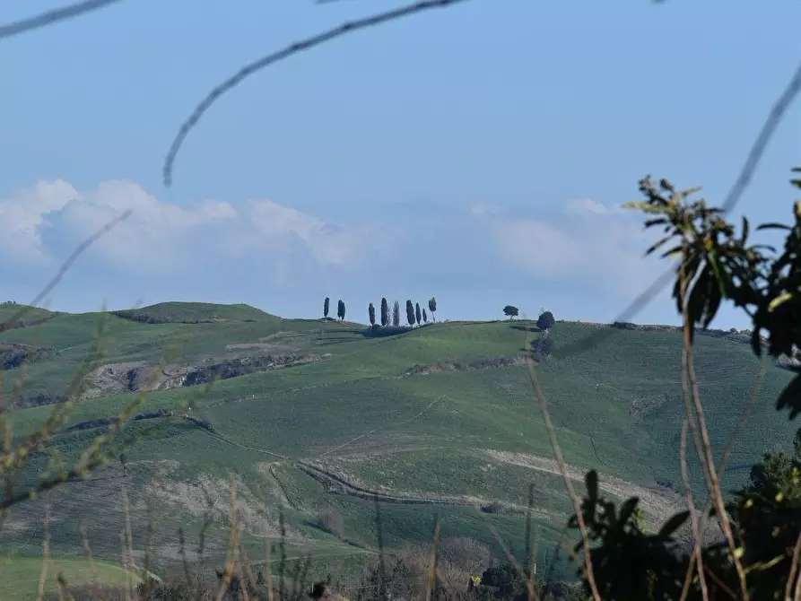 Immagine 14 di Casa colonica in vendita  a Volterra