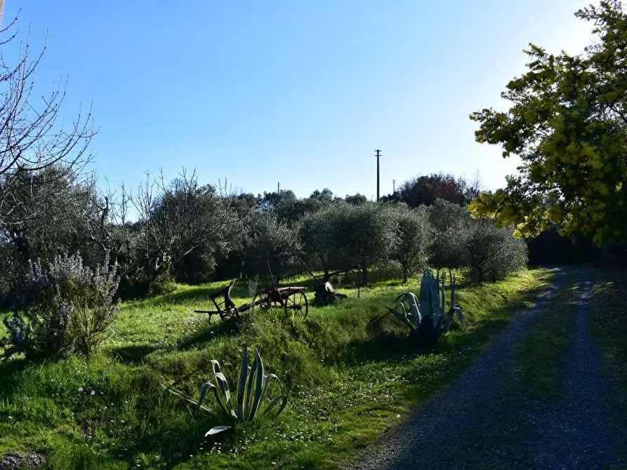 Immagine 12 di Casa colonica in vendita  a Volterra
