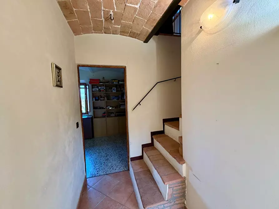 Immagine 29 di Casa colonica in vendita  a Volterra