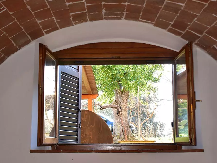 Immagine 37 di Casa colonica in vendita  a Volterra