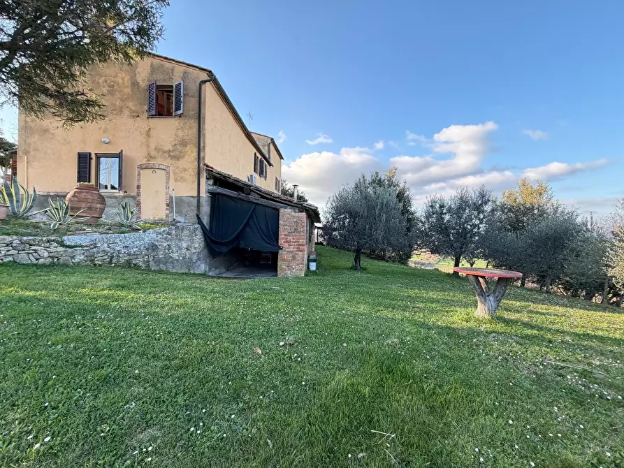 Immagine 5 di Casa colonica in vendita  a Volterra