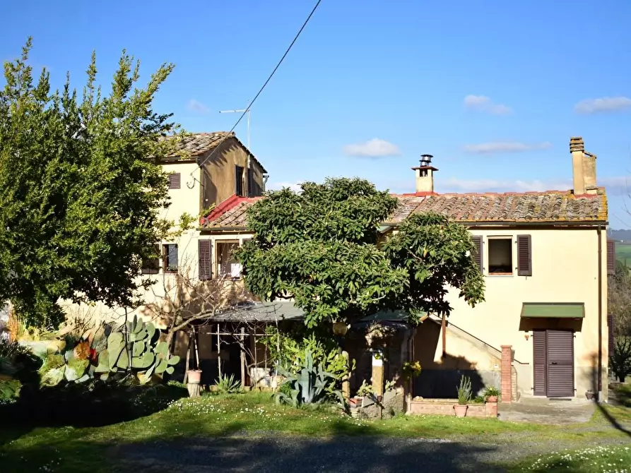 Immagine 2 di Casa colonica in vendita  a Volterra