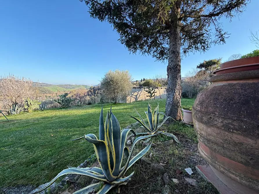 Immagine 6 di Casa colonica in vendita  a Volterra