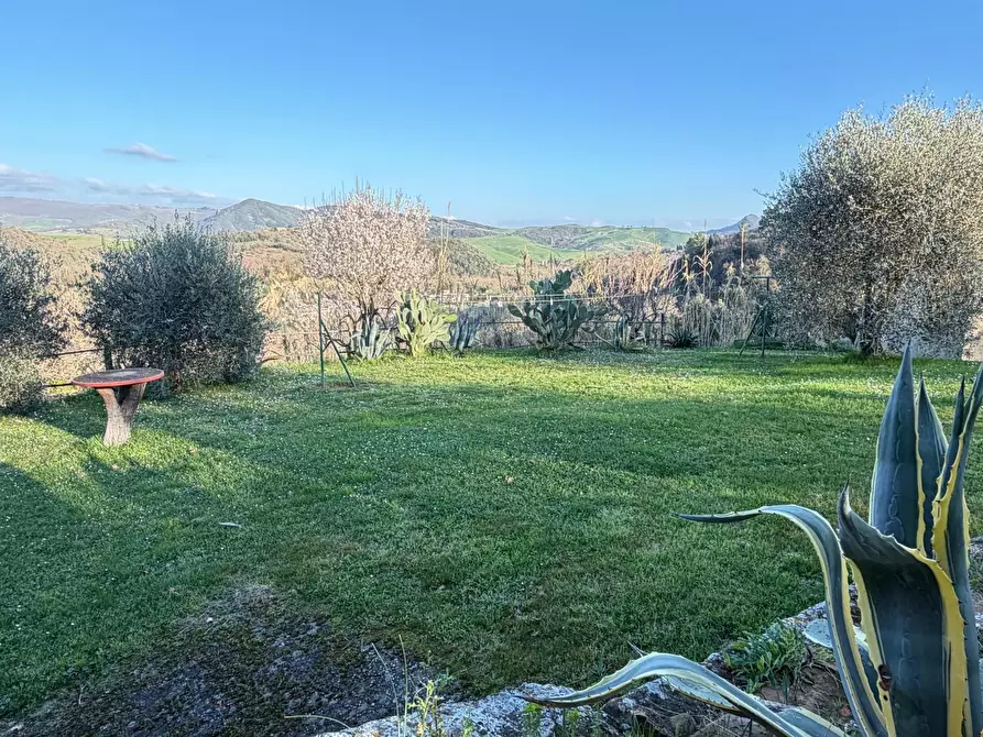Immagine 11 di Casa colonica in vendita  a Volterra