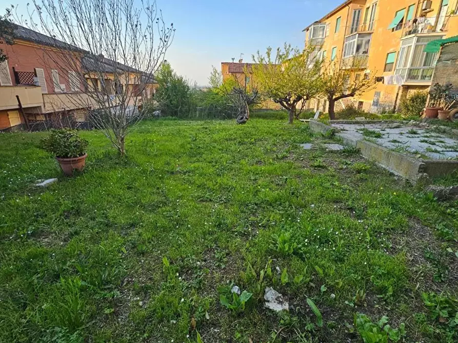 Immagine 25 di Appartamento in vendita  a Collesalvetti