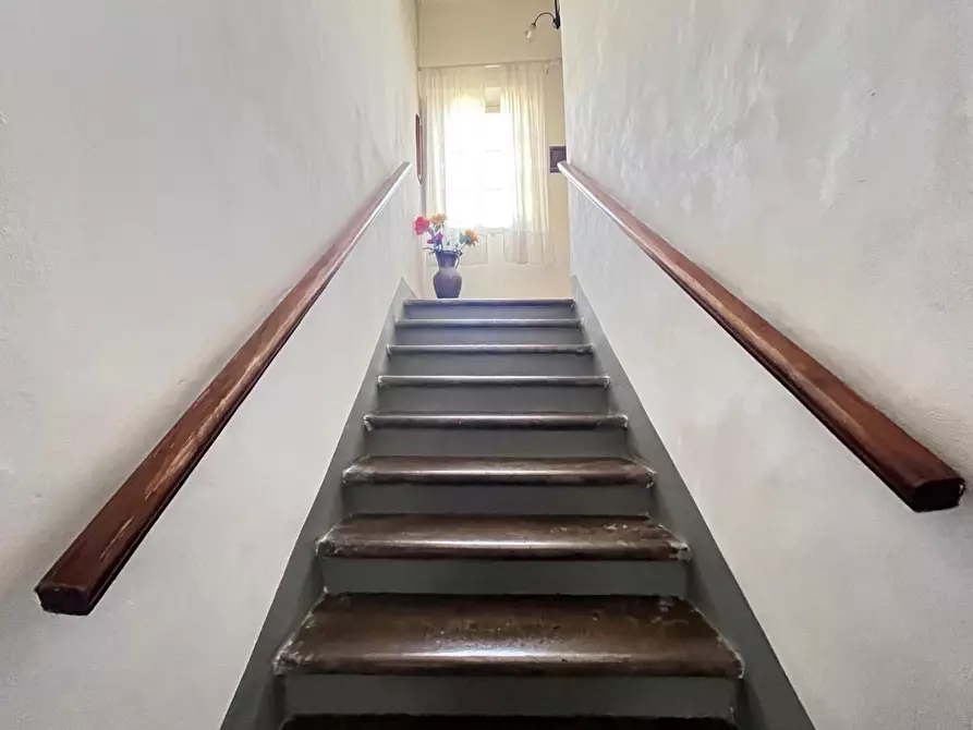 Immagine 13 di Terratetto in vendita  a Capraia E Limite