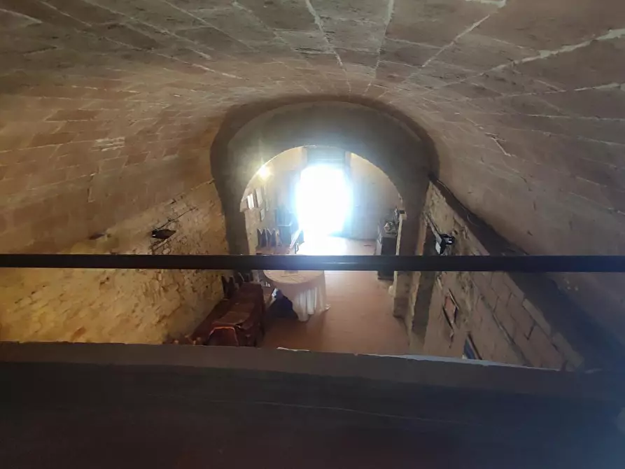 Immagine 4 di Magazzino in vendita  a Peccioli