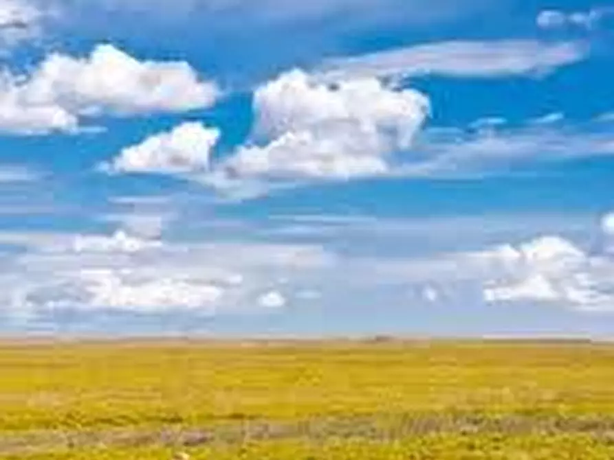 Immagine 2 di Terreno agricolo in vendita  a Collesalvetti