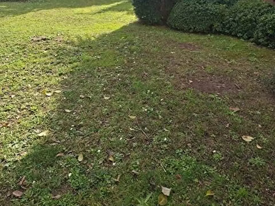 Immagine 12 di Appartamento in vendita  a Pisa