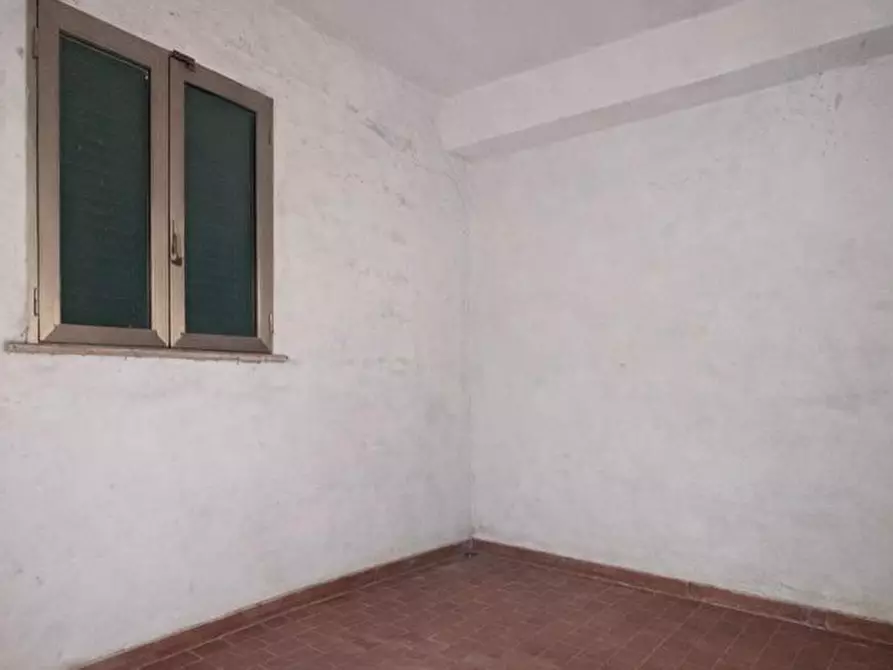 Immagine 13 di Appartamento in vendita  a Crespina Lorenzana