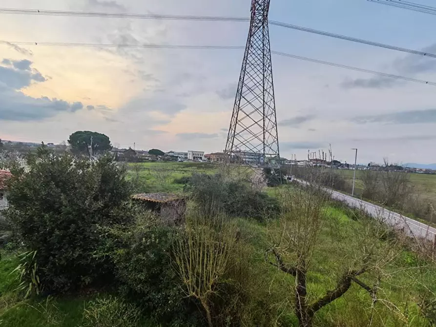 Immagine 15 di Appartamento in vendita  a Crespina Lorenzana