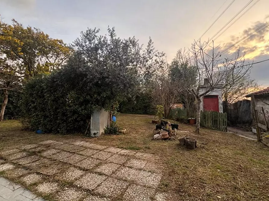 Immagine 17 di Appartamento in vendita  a Crespina Lorenzana