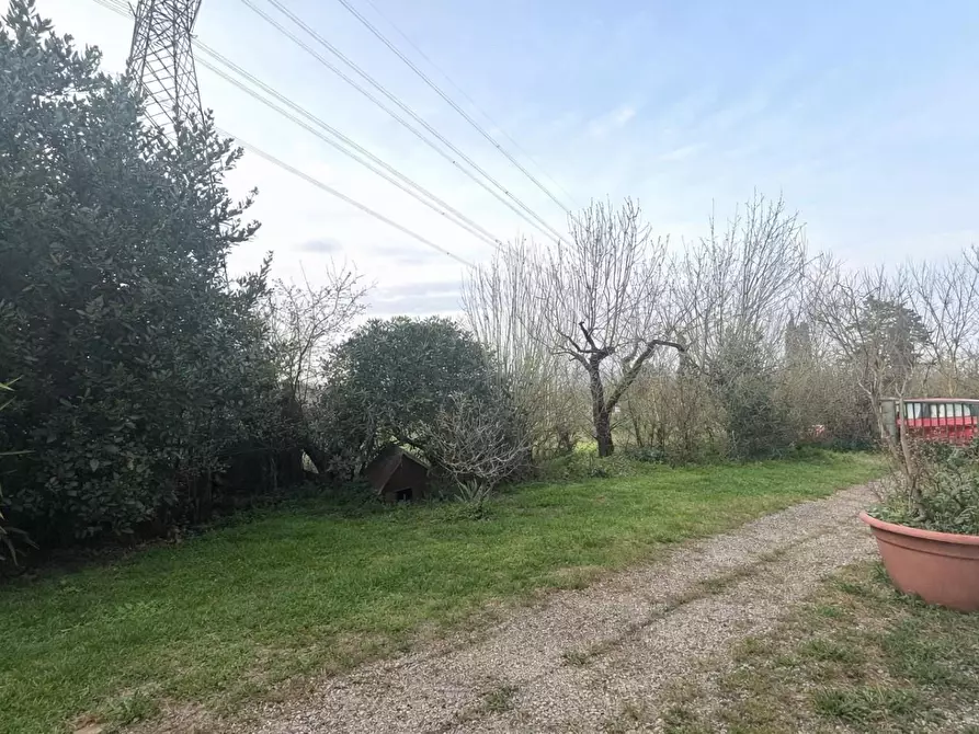 Immagine 16 di Appartamento in vendita  a Crespina Lorenzana