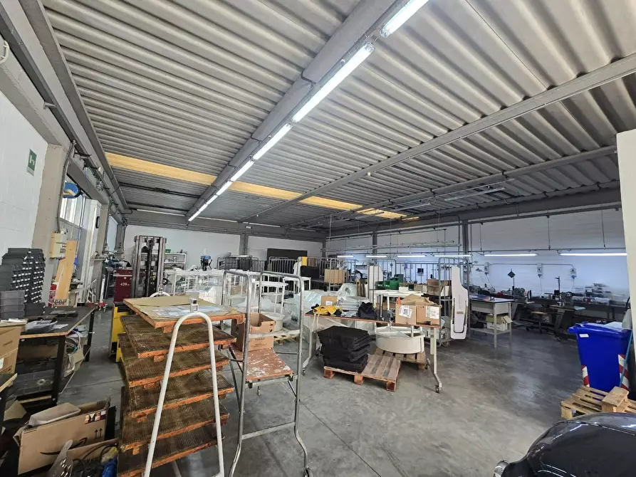 Immagine 3 di Attività artigianale in vendita  a Calcinaia