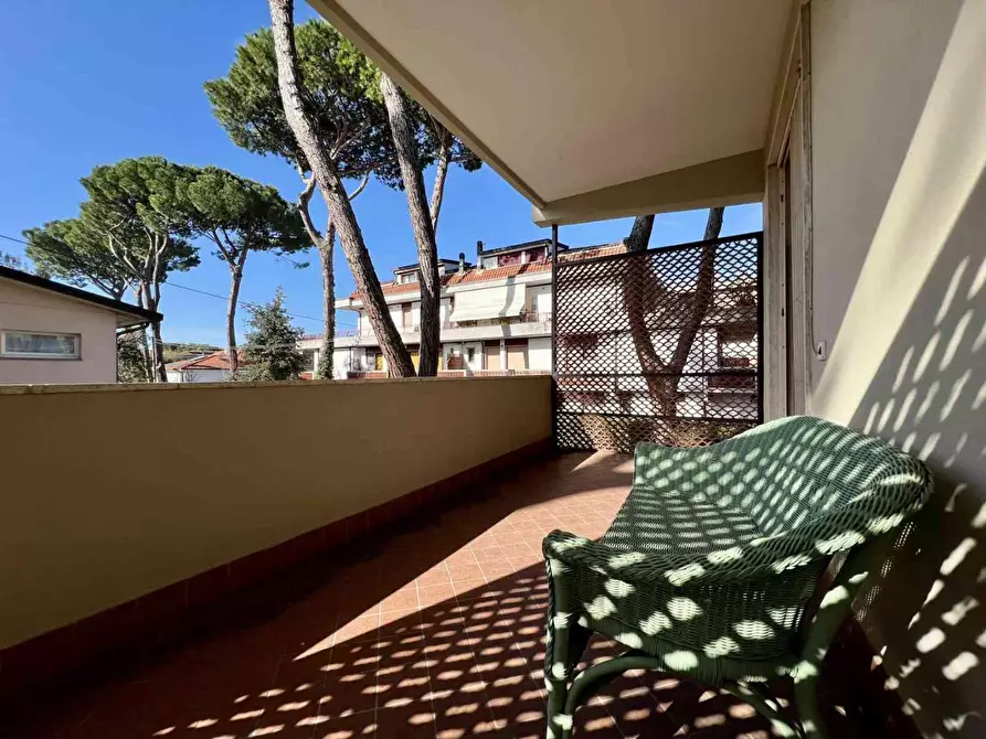 Immagine 2 di Appartamento in vendita  a Massa